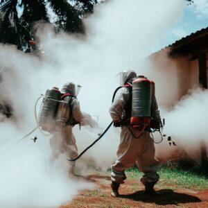 Commercial fumigation services in Ukunda Mombasa, Insect control in Ukunda Mombasa, Exterminator services in Ukunda Mombasa, Pest management in Ukunda Mombasa, Pest eradication in Ukunda Mombasa, Weed control in Ukunda Mombasa,