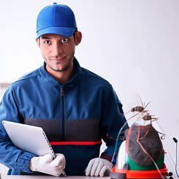 pest control services in Kilifi, pest eradication Kilifi, cockroach control Kilifi, ant control Kilifi, mosquito control Kilifi, home pest control Kilifi, commercial pest control Kilifi
