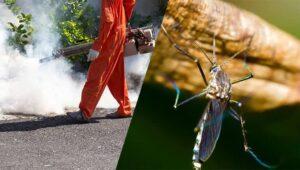mosquito management, mosquito eradication, mosquito control companies, mosquito control near me, mosquito control services cost, professional mosquito control services, outdoor mosquito control, residential mosquito control, commercial mosquito control, organic mosquito control