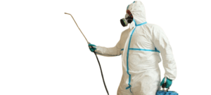 Insecticide fumigation in Kitengela, Professional fumigation services near me Kitengela, pest control Kitengela, bed bug eradication in Kitengela, cockroach extermination in Kitengela, ants control in Kitengela, termites control in Kitengela, rat and mice control in Kitengela, insecticide fumigation in Kitengela