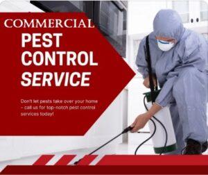 pest control companies in Kenya, Pest Control Company in Nairobi Kenya, Bed Bugs Control Company, Cockroaches Control Company, Bees Control Company, Termites Control Company, Pest Control Company Near me