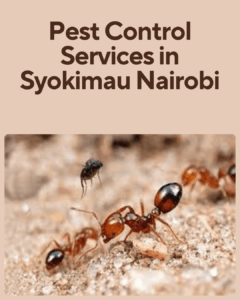 pest control services in Syokimau, fumigation services in Syokimau, pest control companies in Syokimau, best pest control services in Syokimau, pest removal services in Syokimau, professional pest control in Syokimau, affordable pest control services in Syokimau, residential pest control in Syokimau, commercial pest control in Syokimau, emergency pest control in Syokimau, rodent control in Syokimau, termite control in Syokimau, bed bug treatment in Syokimau, cockroach control in Syokimau, flea and tick treatment in Syokimau, mosquito control services in Syokimau, integrated pest management in Syokimau, eco-friendly pest control in Syokimau, local pest control services Syokimau