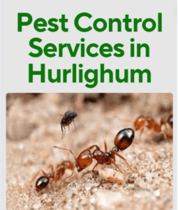 fumigation services in Hurlighum, pest control services in Hurlighum, pest control services in Hurlighum Nairobi, fumigation services in Hurlighum nairobi, Hurlighum pest control services, pest control services in Hurlighum nairobi, pest control services in Hurlighum, pest control services in Hurlighum nairobi Kenya, pest control services in Hurlighum Kenya, fumigators in Hurlighum, Hurlighum fumigation services, pest control, fumigation in Hurlighum, Fumigation services in Hurlighum Nairobi, pest control services, insect extermination services, bed bugs removal services, pest management services, residential fumigation services,
