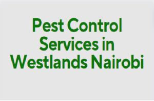 pest control services in Westlands, pest control in Westlands, fumigation in Westlands Nairobi