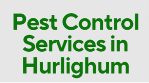 commercial fumigation services in Hurlighum, rodent control services in Hurlighum, termite control services in Hurlighum, mosquito control services in Hurlighum, cockroach control services in Hurlighum, pest eradication in Hurlighum, pest treatment services in Hurlighum, home fumigation services near Hurlighum, professional fumigation services in Hurlighum, local fumigation services in Hurlighum, affordable fumigation services in Hurlighum, hygienic fumigation services in Hurlighum, eco-friendly fumigation services in Hurlighum, Hurlighum Nairobi, fumigators in Hurlighum, fumigation services in Hurlighum nairobi contacts