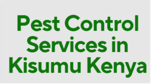 pest control services in Kisumu, fumigation services in Kisumu, Kisumu pest control services, pest control services in Kisumu, pest control services in Kisumu, pest control services in Kisumu Kenya,pest control services in Kisumu Kenya, fumigators in Kisumu, Kisumu fumigation services, pest control, fumigation in Kisumu, cockroach control in Kisumu, bed bugs control in Kisumu, snakes control in Kisumu, ants control in Kisumu,fleas control in Kisumu, fumigation services in Kisumu, pest control services in Kisumu, pest exterminators in Kisumu, pest management companies in Kisumu, rodent control services in Kisumu, termite control services in Kisumu, bed bug extermination services in Kisumu, insect control services in Kisumu, residential pest control services in Kisumu, commercial pest control services in Kisumu, Kisumu pest control companies, professional pest control services in Kisumu, eco-friendly pest control services in Kisumu, reliable pest control services in Kisumu, effective pest control solutions in Kisumu, pest inspection services in Kisumu, pest prevention services in Kisumu, Kisumu fumigation companies, professional fumigation services in Kisumu, certified fumigation services in Kisumu, structural fumigation services in Kisumu, Kisumu fumigation and pest control services