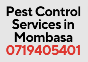 pest control companies in Mombasa, fumigation companies in Mombasa