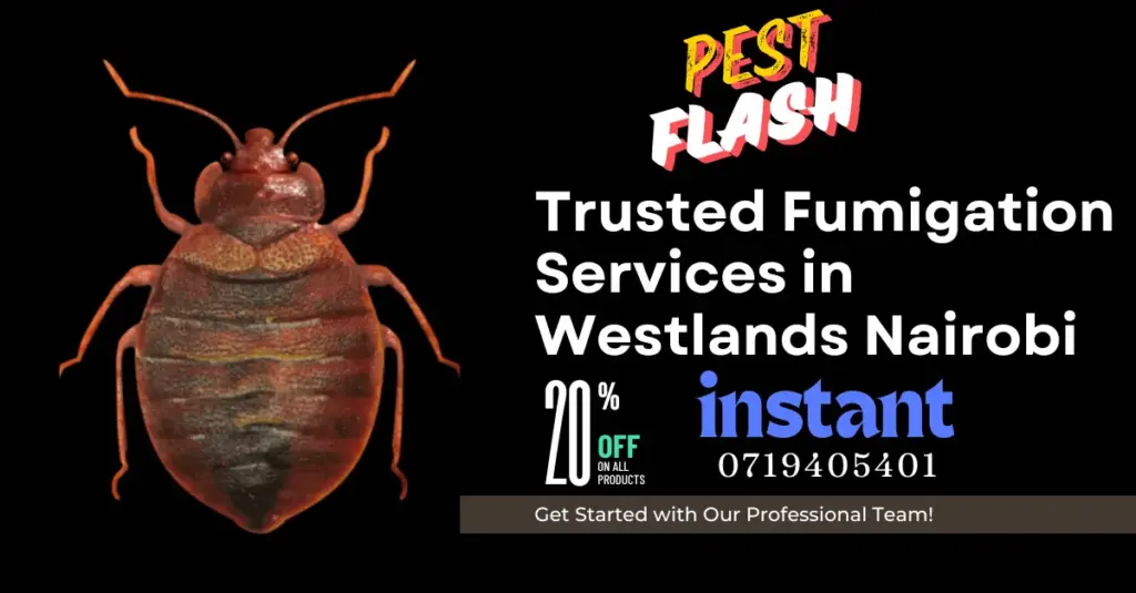 pest control services in Westlands Nairobi, fumigation services in westlands nairobi, westlands pest control services, pest control services in westlands nairobi, pest control services in westlands,pest control services in westlands nairobi Kenya,pest control services in westlands Kenya, fumigators in westland, westland fumigation services,pest control,fumigation in westlands, Fumigation services in Westlands Nairobi, pest control services, insect extermination services, bed bugs removal services, pest management services, residential fumigation services, commercial fumigation services, rodent control services, termite control services, mosquito control services, cockroach control services, pest eradication, pest treatment services, home fumigation services, professional fumigation services, local fumigation services, affordable fumigation services, hygienic fumigation services, eco-friendly fumigation services, westlands Nairobi, fumigators in Westlands, fumigation services in westlands nairobi contacts,pest control services in Westlands, pest control services in Westlands Nairobi, fumigation services in Westlands nairobi, Westlands pest control services, pest control services in Westlands nairobi, pest control services in Westlands, pest control services in Westlands nairobi Kenya, pest control services in Westlands Kenya, fumigators in Westlands, Westlands fumigation services, pest control, fumigation in Westlands, Fumigation services in Westlands Nairobi, commercial fumigation services in Westlands, rodent control services in Westlands, termite control services in Westlands, mosquito control services in Westlands, cockroach control services in Westlands, pest eradication in Westlands, pest treatment services in Westlands, home fumigation services near Westlands, professional fumigation services in Westlands, local fumigation services in Westlands, affordable fumigation services in Westlands, hygienic fumigation services in Westlands, eco-friendly fumigation services in Westlands, Westlands Nairobi, fumigation services in Westlands nairobi contacts, pest management services in Westlands, Westlands Pest Control, Best Pest Control in Westlands, Fumigation in Westlands, Pest Control Services in Westlands, Fumigation of Bats in Westlands Nairobi, Cockroaches Control Services in Westlands Nairobi Kenya, Bats Control Services in Westlands Nairobi Kenya, Bed bugs Control Services in Westlands Nairobi Kenya, Bees Control Services in Westlands Nairobi Kenya, Ants Control Services in Westlands Nairobi Kenya
