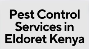 pest control services in eldoret, fumigation services in eldoret, pest control services in Eldoret, fumigation services in Eldoret, pest exterminators in Eldoret, pest management companies in Eldoret, rodent control services in Eldoret, termite control services in Eldoret, bed bug extermination services in Eldoret, insect control services in Eldoret,