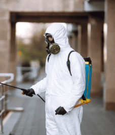 fumigation services Nairobi, pest control for bed bugs near me, Pest control for rodents near me, Termite fumigation near me, Pest control services near me, Residential pest control near me, Commercial pest control near me, Pest control for cockroaches near me, Local pest control near me, Pest control near me, Car fumigation near me, termite control companies in nairobi, fumigation and pest control nairobi