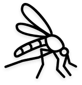 mosquitoes, mosquitoes control, mosquitoes fumigation services, mosquitoes pest control