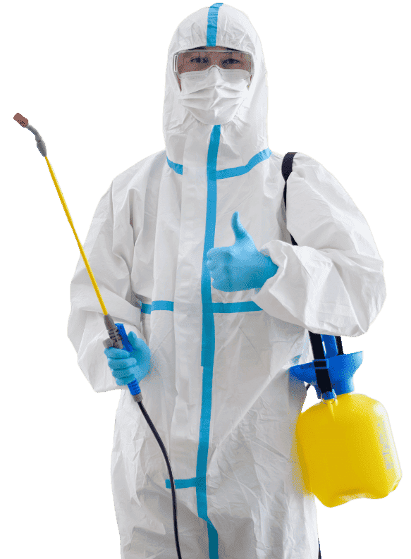 pest control services technician in Kenya, best pest control services in Kenya, best fumigation services in Nairobi