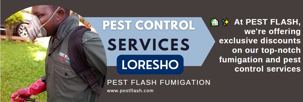 Pest Control in Loresho, Pest Control Services in Loresho, Pest Control Services in Loresho Nairobi, pest control services in Loresho, fumigation services in Loresho, pest control companies in Loresho, best pest control services in Loresho, pest removal services in Loresho, professional pest control in Loresho, affordable pest control services in Loresho, residential pest control in Loresho, commercial pest control in Loresho, emergency pest control in Loresho, rodent control in Loresho, termite control in Loresho, bed bug treatment in Loresho, cockroach control in Loresho, flea and tick treatment in Loresho, mosquito control services in Loresho, integrated pest management in Loresho, eco-friendly pest control in Loresho, local pest control services Loresho, pest inspection services in Loresho, pest extermination in Loresho, pest prevention services in Loresho, pest control services in Loresho contacts, pest control Loresho, fumigation in Loresho, pest control in Loresho, fumigators in Loresho, pest control services in Loresho, Loresho fumigation services, bed bugs control in Loresho, bees control services in Loresho, cockroaches control services in Loresho, fleas control services in Loresho, fumigation company in Loresho, pest control company in Loresho,bats control in Loresho, pest controller in Loresho, pest control thiks, pest control, pest control services, fumigation services, fumigation companies in Loresho, pest control services in Loresho, fumigation services near me, fumigation services prices in Loresho, fumigation services in nairobi Loresho, Loresho pest control services, pest control services in nairobi Loresho, Loresho pest, Loresho fumigation, Loresho pest control, pest, pest control service, jopestkil, expert fumigation services in Loresho, pest control in nairobi Loresho, fumigation and pest control services, bedbugs control services in Loresho, bats control services in Loresho