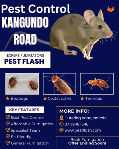 Pest Control Kangundo Road, pest control Kangundo Road, pest control services in Kangundo Road, pest control in Kangundo Road, pest control services Kangundo Road, Kangundo Road pest control services, fumigation services in Kangundo Road, fumigation services and pest control in Kangundo Road, pest extermination services in Kangundo Road, pest elimination services in Kangundo Road, Kangundo Road pest control services, Kangundo Road pest extermination services, bedbugs control services in Kangundo Road, cockroaches control services in Kangundo Road, bats control services in Kangundo Road, termites control services in Kangundo Road, pest control services near Kangundo Road, fumigation services near Kangundo Road, pest eradication services in Kangundo Road, pest control companies in Kangundo Road, Kangundo Road fumigation, pest control services company Kangundo Road, fumigation and pest control services in Kangundo Road, pest control and fumigation services in Kangundo Road, expert pest control company in Kangundo Road, pest control in Kangundo Road, fumigation in Kangundo Road, pest control service in Kangundo Road, fumigation service in Kangundo Road, pest control in Kangundo Road, professional fumigation services in Kangundo Road, pest services in Kangundo Road, pest exterminator in Kangundo Road, top best pest control services company in Kangundo Road, pest control management in Kangundo Road, Pest control services in Kangundo Road, fumigation in Kangundo Road, pest control in Kangundo Road, Kangundo Road fumigation services, Kangundo Road Expert Fumigation, Kangundo Road Pest Control Services, fumigation pest control in Kangundo Road, fumigation services pest control in Kangundo Road, Kangundo Road pest control services, Kangundo Road fumigation services, pest control in Kangundo Road, Kangundo Road pest control services, Kangundo Road pest extermination services, bedbugs control services in Kangundo Road, cockroaches control services in Kangundo Road, bats control services in Kangundo Road, termites control services in Kangundo Road, pest control services Kangundo Road, Kangundo Road fumigation and pest control services company, fumigation and pest control services in Kangundo Road, Kangundo Road fumigation services in Kangundo Road, fumigation service Kangundo Road, pest control services near Kangundo Road, fumigation services near Kangundo Road, Kangundo Road fumigation service, fumigation company in Kangundo Road, Fumigation services in Kangundo Road, pest control services in Kangundo Road, pest control services in Kangundo Road, Fumigators in Kangundo Road, pest control services near Kangundo Road, pest control in Kangundo Road, fumigation services and pest control in Kangundo Road, fumigation services near Kangundo Road, Kangundo Road fumigation services, Kangundo Road pest control services, Kangundo Road pest extermination services, bedbugs control services in Kangundo Road, cockroaches control services in Kangundo Road, bats control services in Kangundo Road, termites control services in Kangundo Road, pest control services Kangundo Road, pest control services company Kangundo Road, eliminating pests in Kangundo Road, fumigation and pest control services in Kangundo Road, Kangundo Road pest control services, Kangundo Road fumigation and pest control company in Kangundo Road, professional exterminator near Kangundo Road, Kangundo Road fumigation services, fumigation service Kangundo Road, Kangundo Road fumigation services, fumigation company in Kangundo Road, pest control companies in Kangundo Road, pest elimination services in Kangundo Road, pest extermination services in Kangundo Road, fumigation in Kangundo Road, pest eradication services in Kangundo Road, pest control service providers in Kangundo Road, fumigation service providers in Kangundo Road, pest control and fumigation services in Kangundo Road, fumigation and pest control services in Kangundo Road, pest control in Kangundo Road, Pest extermination services in Kangundo Road, Kangundo Road pest control services, general pest control in Kangundo Road, pest control in Kangundo Road, Kangundo Road pest control services, pests extermination services in Kangundo Road, fumigation services in Kangundo Road, pest extermination in Kangundo Road, pest elimination services in Kangundo Road, pest eradication services in Kangundo Road, pest control companies in Kangundo Road, fumigation and pest control services in Kangundo Road, pest control and fumigation services in Kangundo Road, expert pest control company in Kangundo Road, pest control in Kangundo Road, fumigation in Kangundo Road, pest control service in Kangundo Road, fumigation service in Kangundo Road, pest control in Kangundo Road, professional fumigation services in Kangundo Road, pest services in Kangundo Road, pest exterminator in Kangundo Road, top best pest control services company in Kangundo Road, pest control management in Kangundo Road, Pest control in Kangundo Road, fumigation prices in Kangundo Road, Kangundo Road pest control services, pest control services prices in Kangundo Road, fumigation services prices in Kangundo Road, cost of fumigation services in Kangundo Road, pest extermination prices in Kangundo Road, fumigation services cost in Kangundo Road, pest control pricelist in Kangundo Road, how much is pest control services in Kangundo Road? how much is fumigation services cost in Kangundo Road?, pest extermination prices in Kangundo Road, bedbugs control services prices in Kangundo Road, cockroaches control services prices in Kangundo Road, pest control along kangundo road, pest control Ruai Kamulu Joska Malaa Koma Nguluni Tala Kangundo, pest control services in Ruai Kamulu Joska Malaa Koma Nguluni Tala Kangundo, pest control in Ruai Kamulu Joska Malaa Koma Nguluni Tala Kangundo,