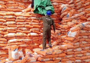 pest flash technician doing stored products grain fumigation services, grain fumigation, grain fumigation services, grain fumigation services in kenya, grain fumigation methods, best fumigants for grain storage, grain fumigation safety tips, how to fumigate stored grain, grain fumigation process, fumigation equipment for grains, grain pest control fumigation, fumigation for stored grains, cost of grain fumigation services, fumigation insecticide for grains,