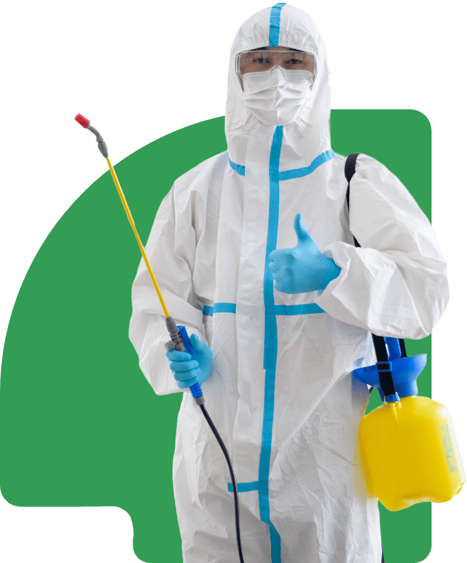 pest control slider bg, pest control services, best pest control services, Local Pest Control Nairobi, Pest Control Near Me Nairobi, Pest Control companies Nairobi, pest control services technician in Kenya, best pest control services in Kenya, best fumigation services in Nairobi